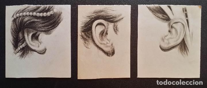 Arte: 3 Dibujos anat&oacute;micos del siglo XIX - Foto 7