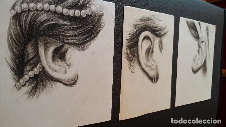 Arte: 3 Dibujos anat&oacute;micos del siglo XIX - Foto 8