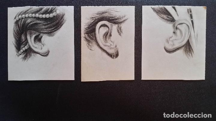 Arte: 3 Dibujos anat&oacute;micos del siglo XIX - Foto 9