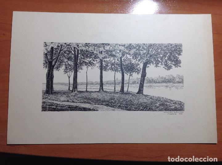 Arte: Ernesto Guti&eacute;rrez. Riberas de un r&iacute;o. - Foto 1