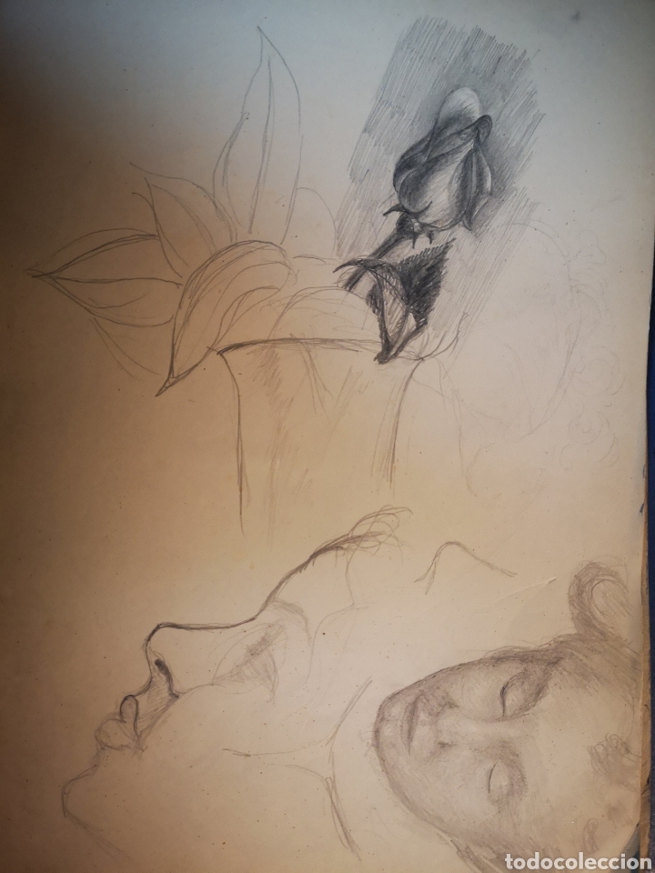 Art: dibujos bocetos lapiz y carbon sobre papel, Rosa, retratos... 30x20cm