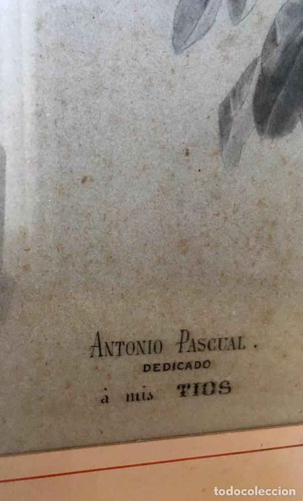Arte: ANTONIO PASCUAL ABAD (Alicante) 1809 –1882.) Excepcional bodegón fechado en 1876 - Foto 2 - 161776398