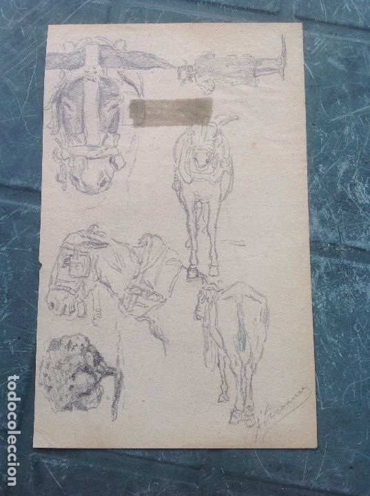 Arte: &Aacute;ngel Lizcano. Estudios de mulas. - Foto 1