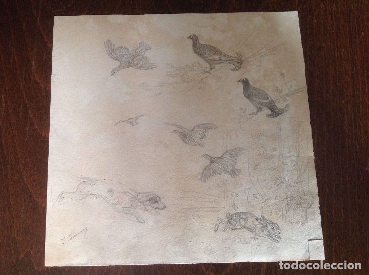 Arte: Federico Jim&eacute;nez. Animales de caza. - Foto 1