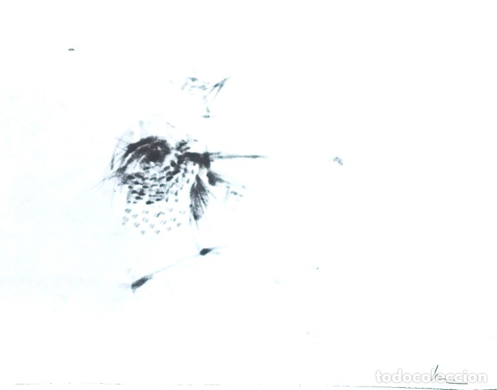 Arte: NOLEGIBLE - Foto 2