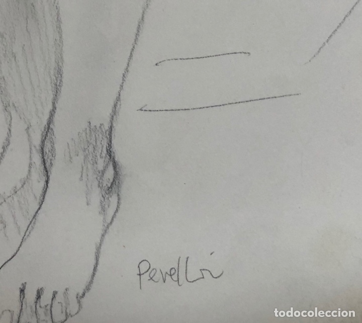 Arte: Celedonio Perellon - Foto 2
