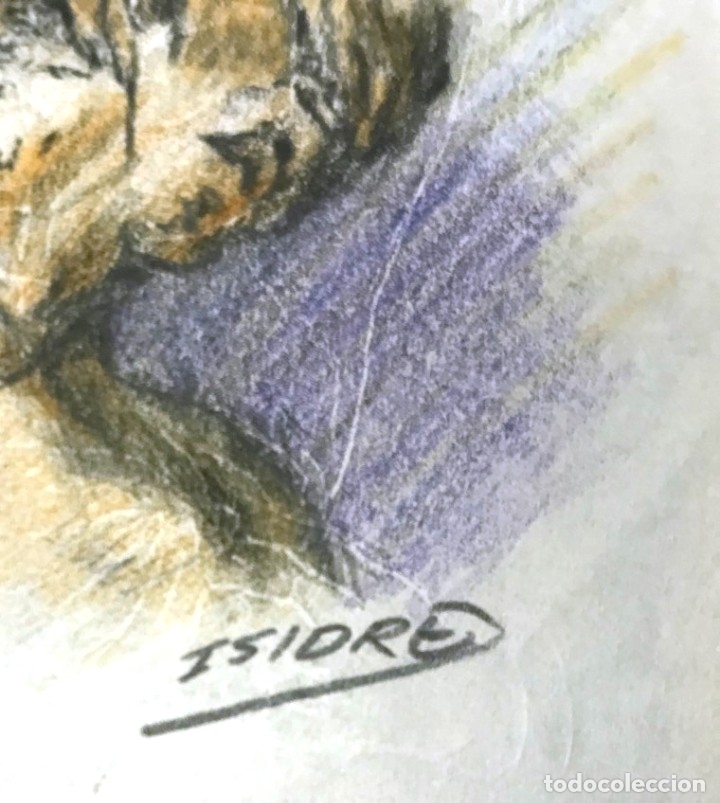 Arte: ISIDRE - Foto 2