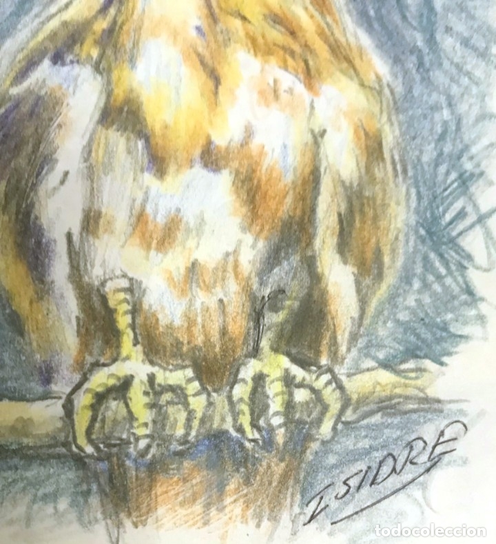 Arte: ISIDRE - Foto 2
