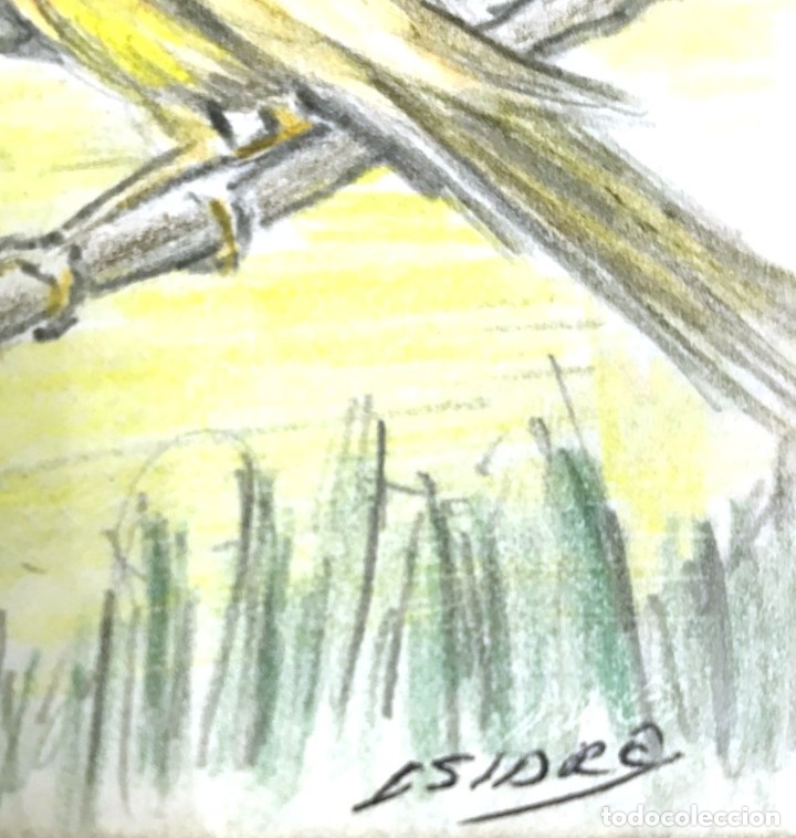 Arte: ISIDRE - Foto 2