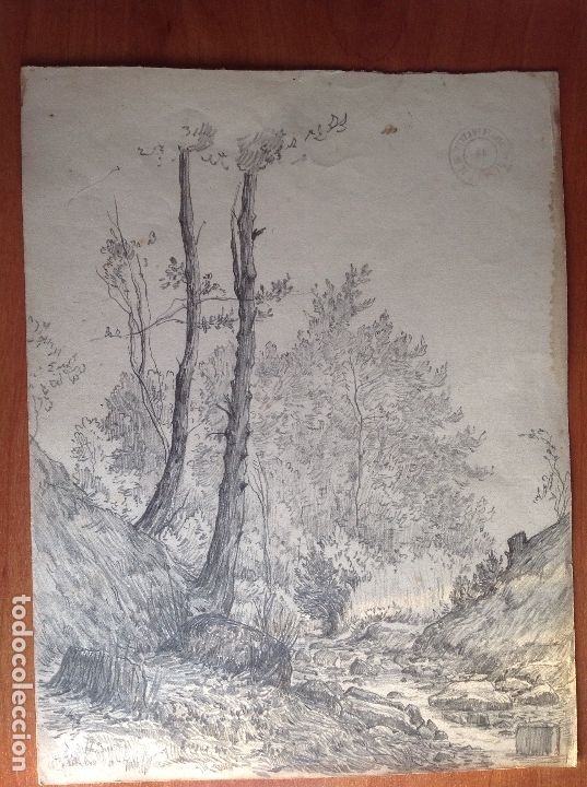 Arte: Joaqu&iacute;n Ara&uacute;jo. &Aacute;rboles. - Foto 1