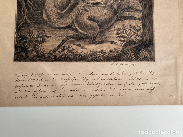 Arte: DIBUJO A L&Aacute;PIZ - Foto 3