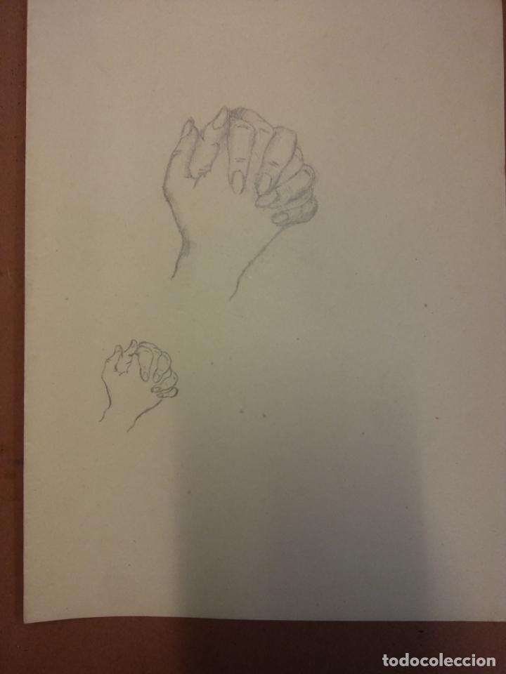 Art: ORIGINAL GASS&Oacute;. ANATOM&Iacute;A HUMANA. MEDIDAS 14 x 10