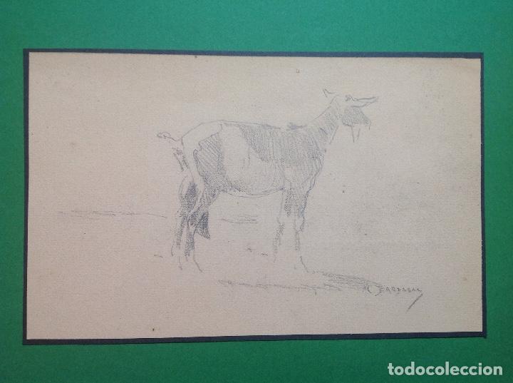 Arte: Mariano Barbasan. Una cabra. - Foto 1