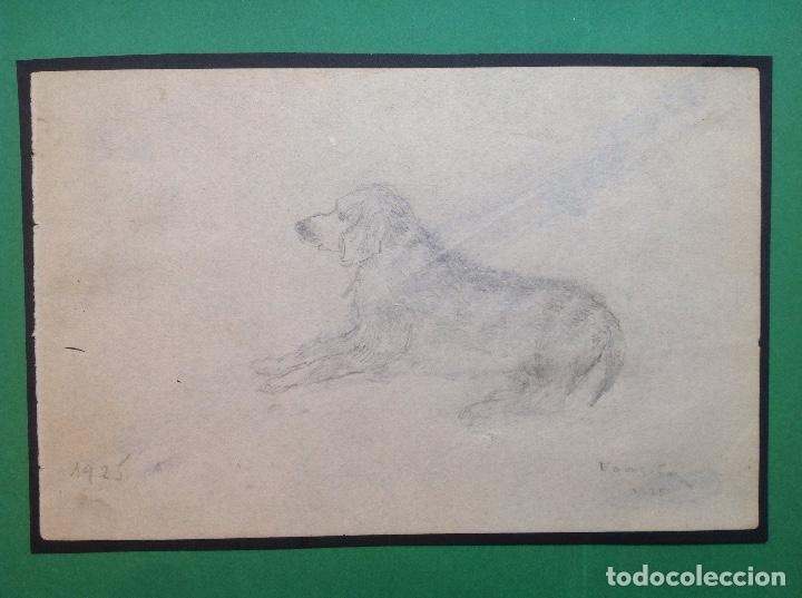 Arte: Ilegible. Perro sentado. - Foto 1