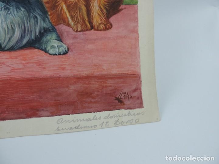 Arte: Acuarela original de la contraportada del cuento Animales Domesticos 1, ilustrador Luis Palao, junto - Foto 3 - 195277565