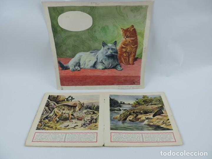 Arte: Acuarela original de la contraportada del cuento Animales Domesticos 1, ilustrador Luis Palao, junto - Foto 4 - 195277565
