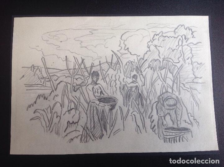 Arte: An&oacute;nimo. Las recolectoras. Ocasi&oacute;n. - Foto 1