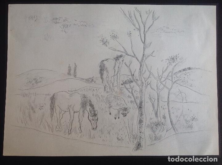 Arte: An&oacute;nimo. Caballlos en el campo. Ocasi&oacute;n. - Foto 1