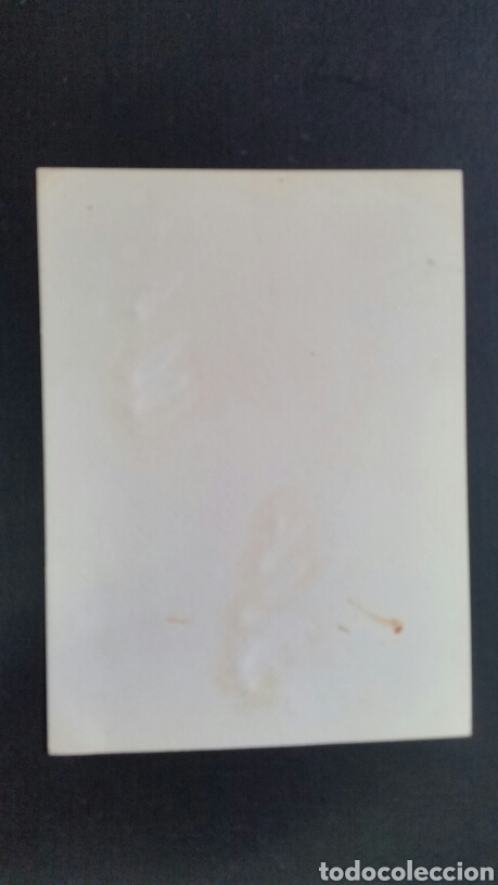 Arte: OBRA DE PILAR PERDICES . - Foto 2