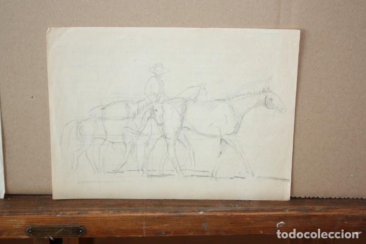 Arte: ANONIMO. DIBUJO A LAPIZ. CABALLOS - Foto 1