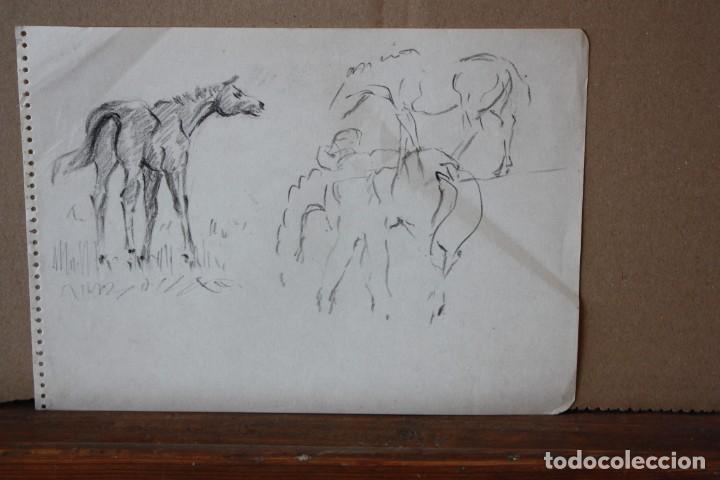 Arte: ANONIMO. DIBUJO A CARBON. CABALLOS - Foto 1