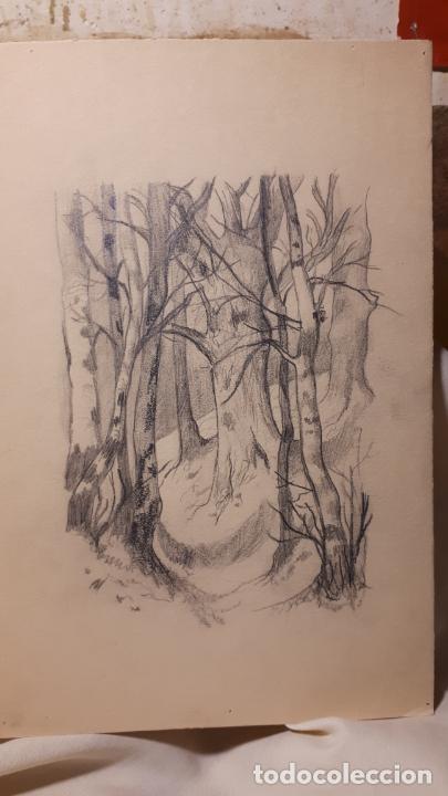 Arte: 16 DIBUJOS A L&Aacute;PIZ DE 1901. - Foto 9