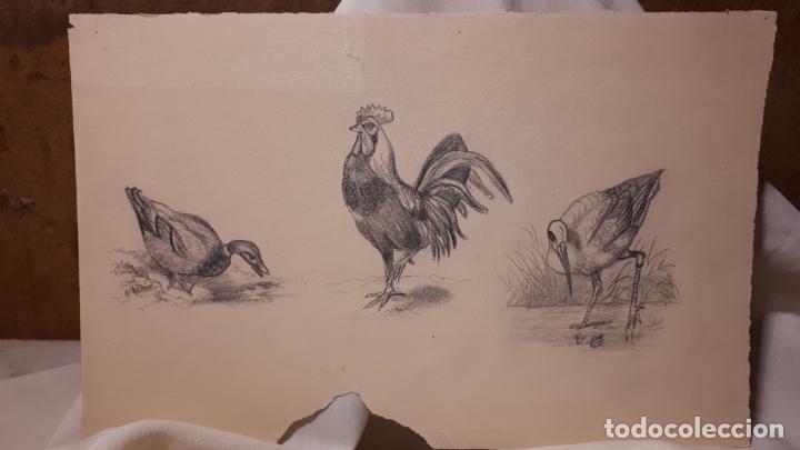 Arte: LOTE DE 17 DIBUJOS DE 1901. - Foto 3