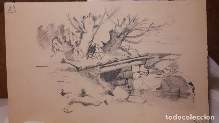 Arte: LOTE DE 17 DIBUJOS DE 1901. - Foto 4