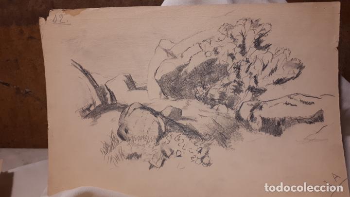 Arte: LOTE DE 17 DIBUJOS DE 1901. - Foto 6