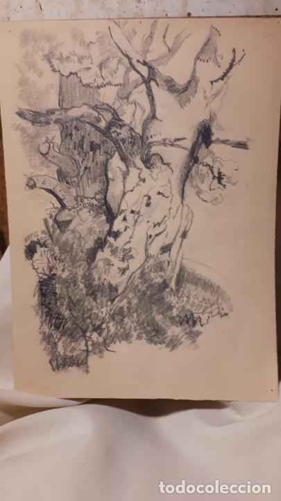 Arte: LOTE DE 17 DIBUJOS DE 1901. - Foto 7