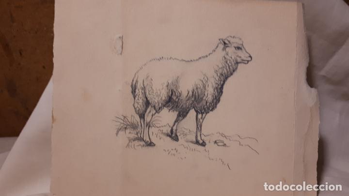 Arte: LOTE DE 17 DIBUJOS DE 1901. - Foto 8