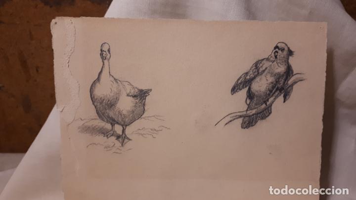 Arte: LOTE DE 17 DIBUJOS DE 1901. - Foto 11