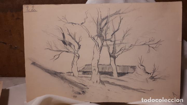 Arte: LOTE DE 17 DIBUJOS DE 1901. - Foto 12