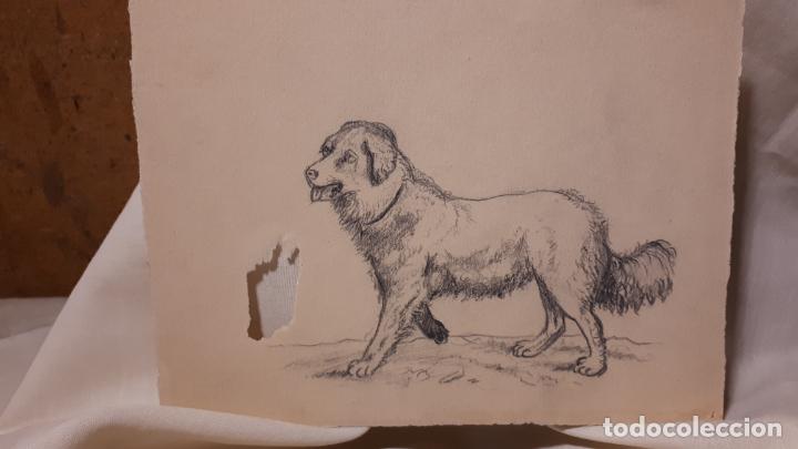 Arte: LOTE DE 17 DIBUJOS DE 1901. - Foto 15