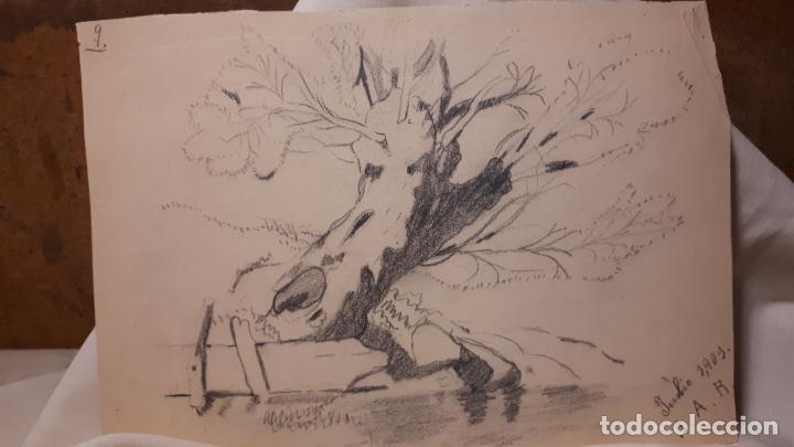 Arte: LOTE DE 17 DIBUJOS DE 1901. - Foto 17