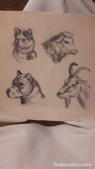 Arte: LOTE DE 17 DIBUJOS DE 1901. - Foto 1