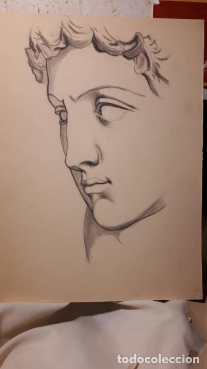 Arte: 14 DIBUJOS DE 1901.ANATOM&Iacute;A. - Foto 6