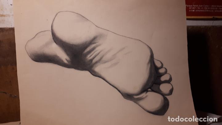 Arte: 14 DIBUJOS DE 1901.ANATOM&Iacute;A. - Foto 9