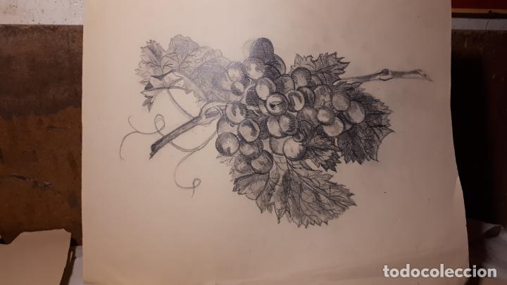 Arte: 14 DIBUJOS DE 1901.ANATOM&Iacute;A. - Foto 10