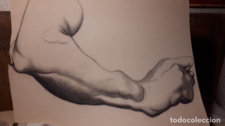 Arte: 14 DIBUJOS DE 1901.ANATOM&Iacute;A. - Foto 11