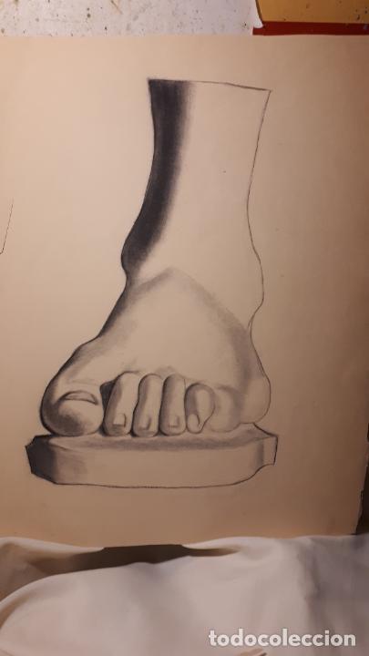 Arte: 14 DIBUJOS DE 1901.ANATOM&Iacute;A. - Foto 12