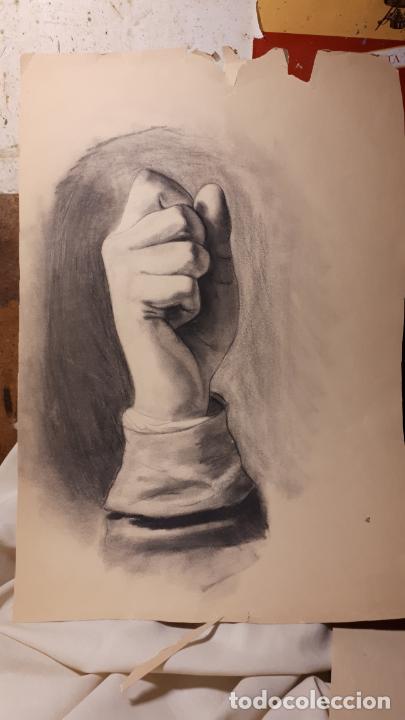 Arte: 14 DIBUJOS DE 1901.ANATOM&Iacute;A. - Foto 14