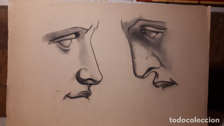 Arte: 14 DIBUJOS DE 1901.ANATOM&Iacute;A. - Foto 1