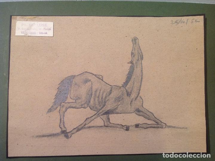 Arte: Ph. Lecluse. Caballo en escorzo. - Foto 1
