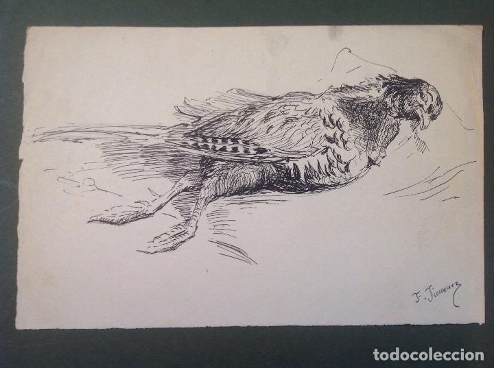 Arte: Federico Jim&eacute;nez. Perdiz muerta.