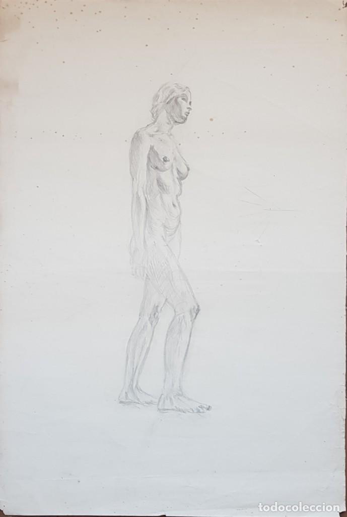 Arte: Cinco dibujos acad&eacute;micos - Foto 7