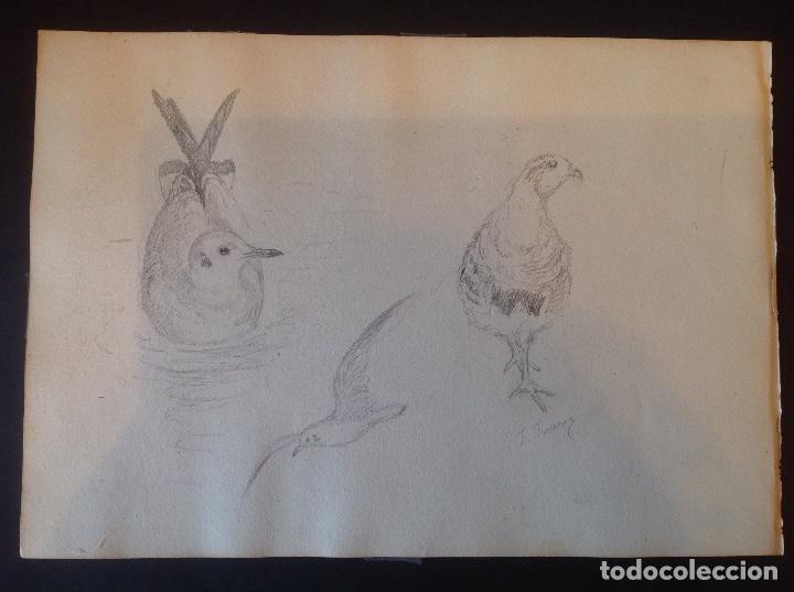 Arte: Federico Jim&eacute;nez. Gaviota y perdiz. - Foto 1