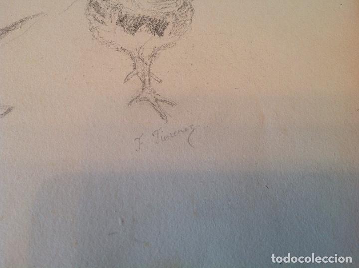 Arte: Federico Jim&eacute;nez. Gaviota y perdiz. - Foto 2