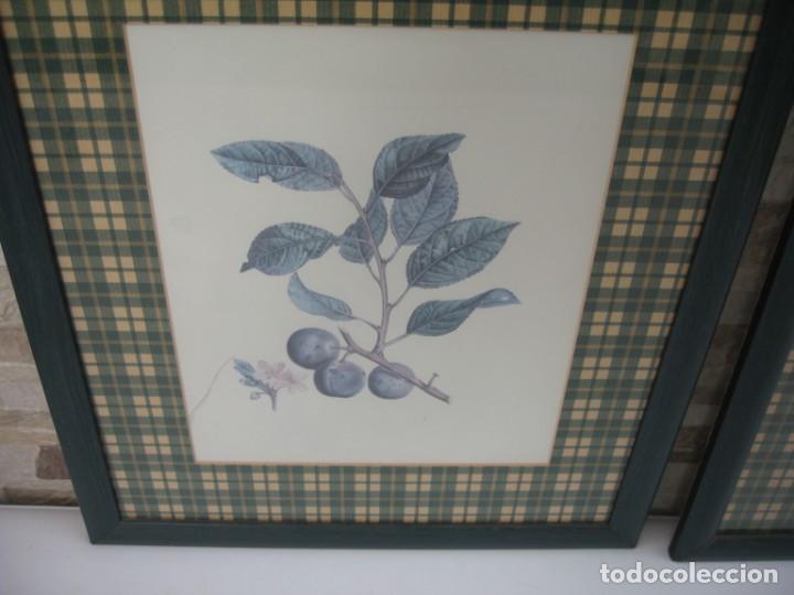 Arte: DOS DIBUJOS ENMARCADOS - Foto 3