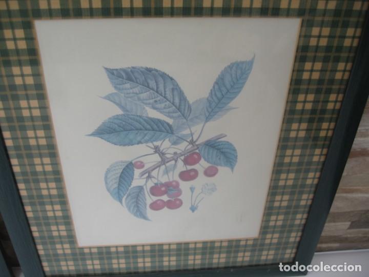 Arte: DOS DIBUJOS ENMARCADOS - Foto 4